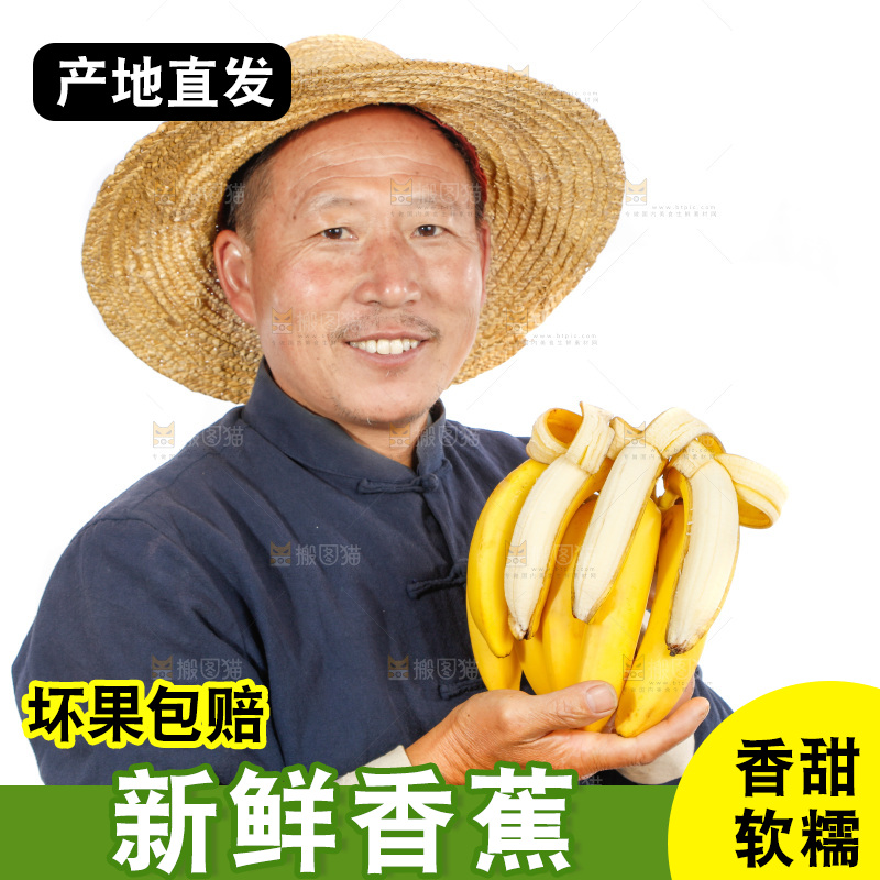 农民手里拿着一串香蕉