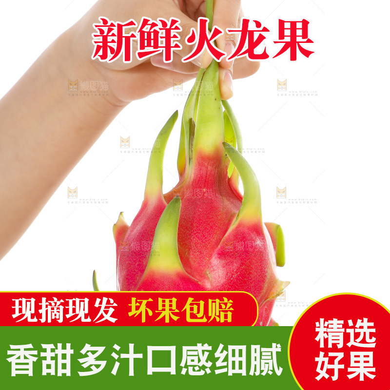 手里拿着火龙果