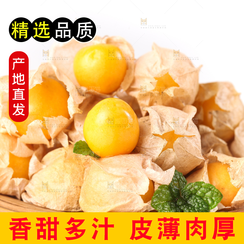 竹篮里放着菇娘果