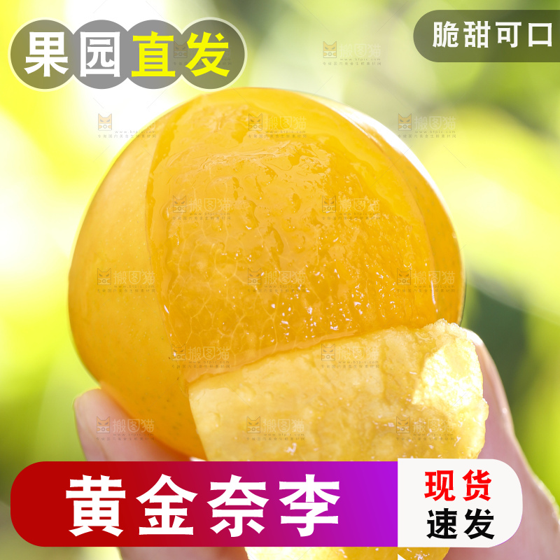 手拿剥皮的九峰山黄金奈李