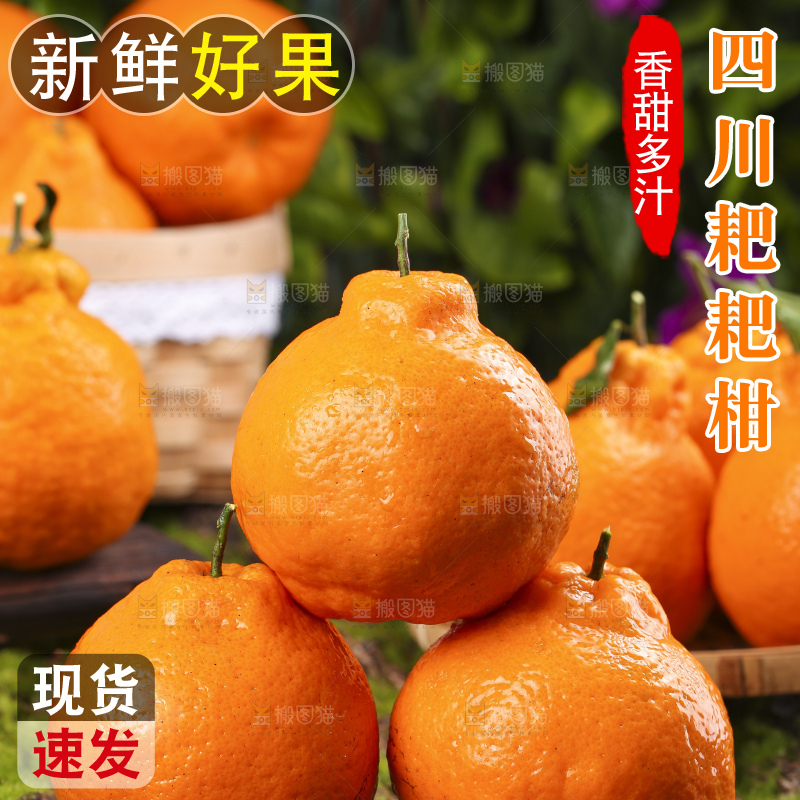 草地上摆放着耙耙柑