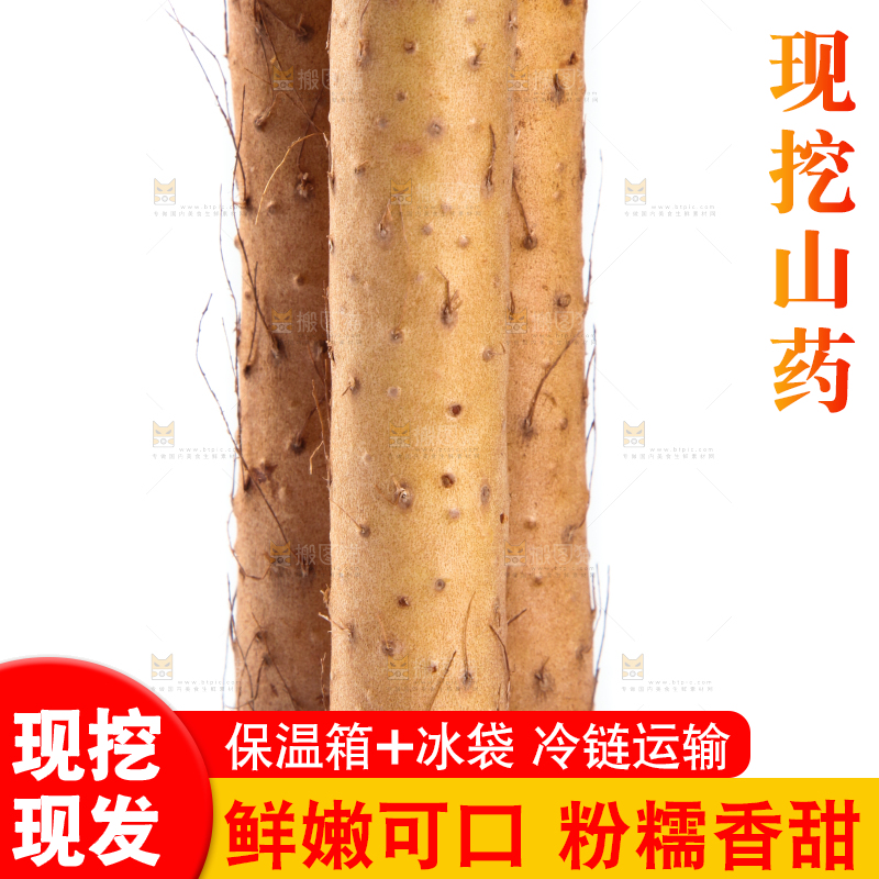 白底上放着淮山药