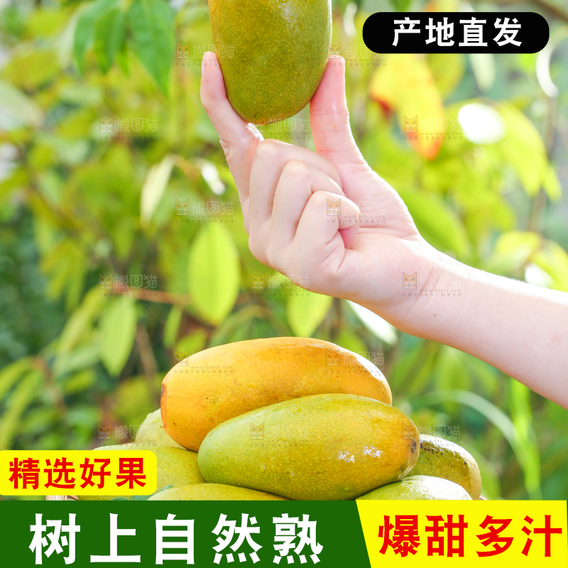 手端一盘椰香芒