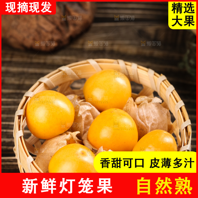 竹篮里放着菇娘果