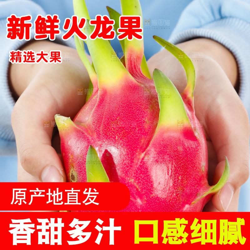 手里拿着火龙果