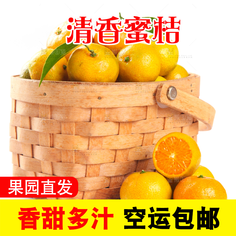 一筐清香蜜橘放在白底上