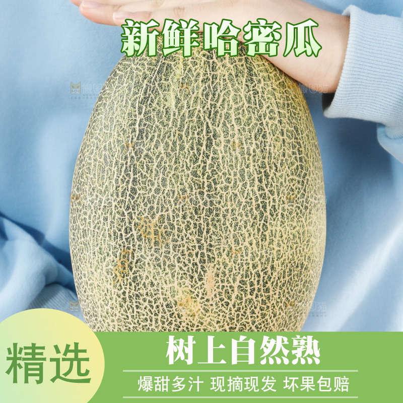 手里抱着哈蜜瓜
