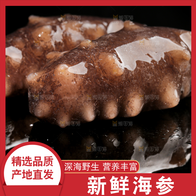 黑底上的海参