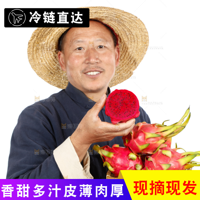 农民手里拿着红心火龙果