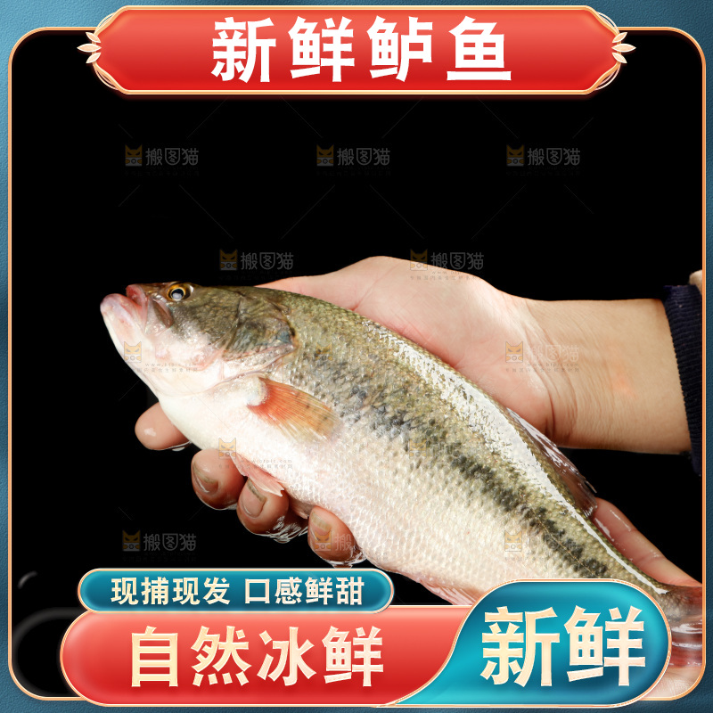 手里拿着鲈鱼