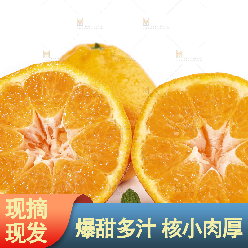 切开的四川耙耙柑放在白底上