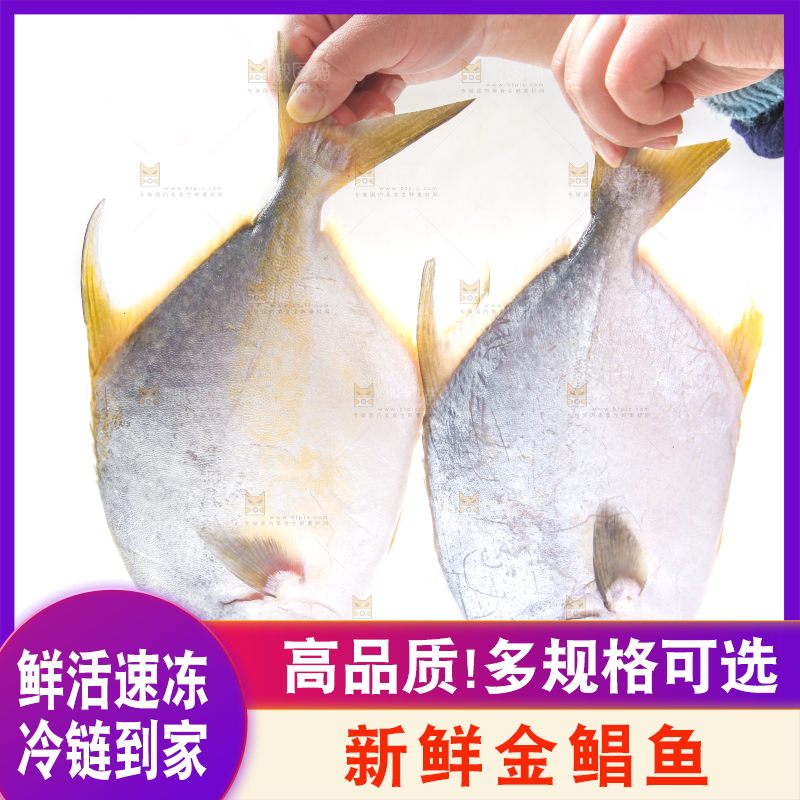 白底上放着野生金鲳鱼