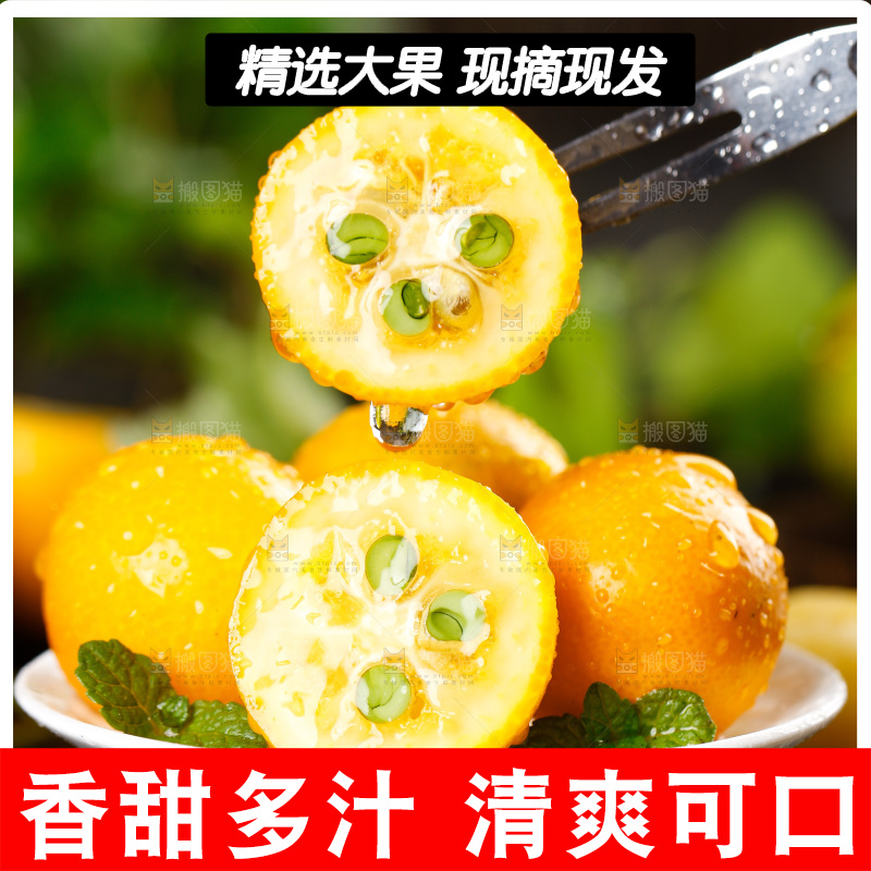盘子里装着小金桔