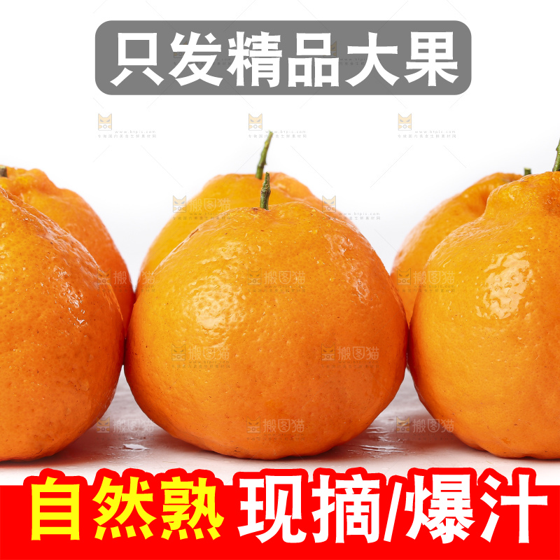 白底上放着春见桔橙