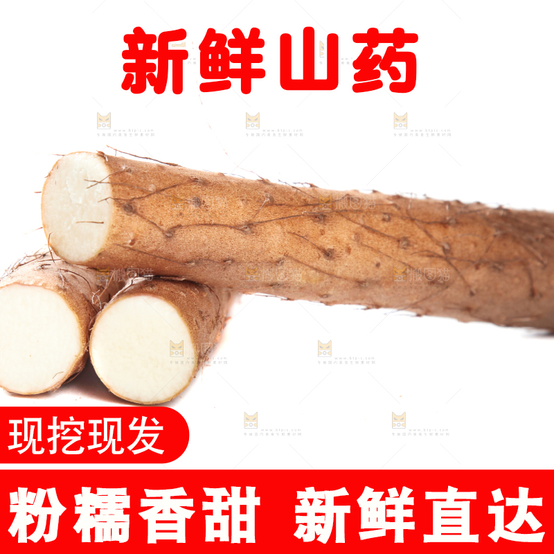 白底上摆放着山药