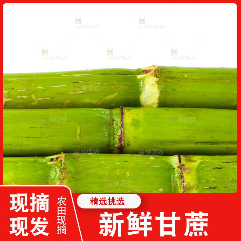 木底上放着一盘陶山青皮甘蔗