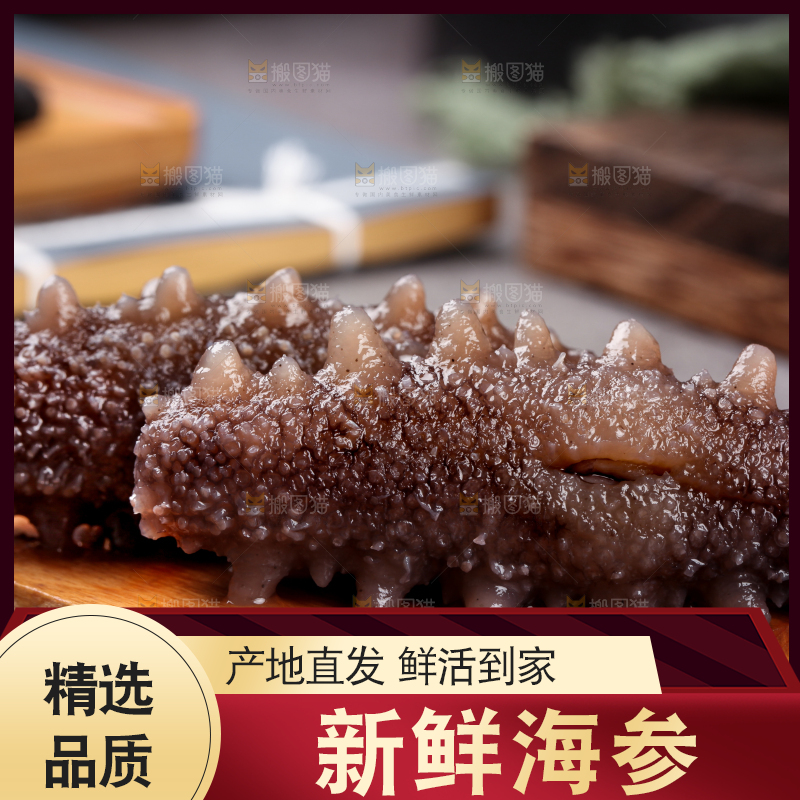 木底上的淡干海参
