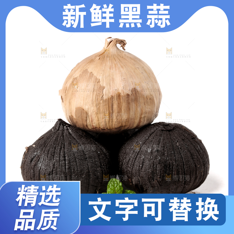 白底上的黑蒜头