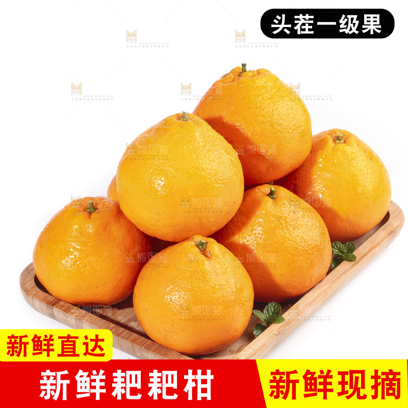 一盘新鲜的耙耙柑放在白底上
