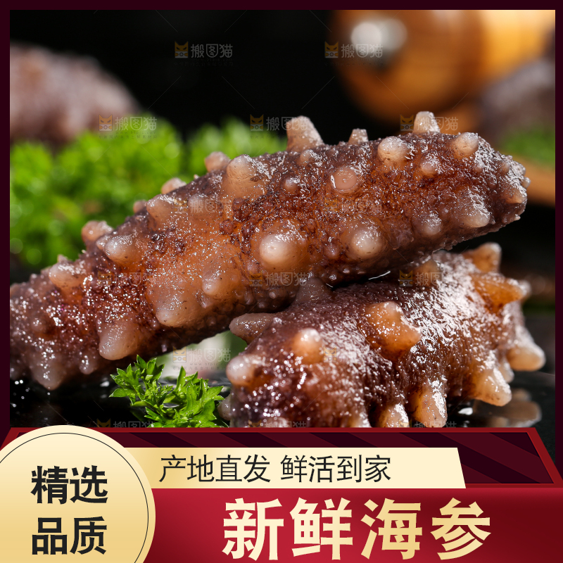 黑石板上的海参