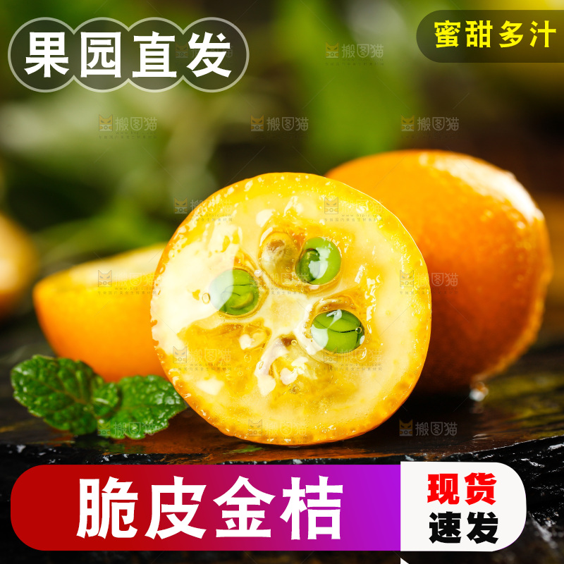 黑底上放着小金桔