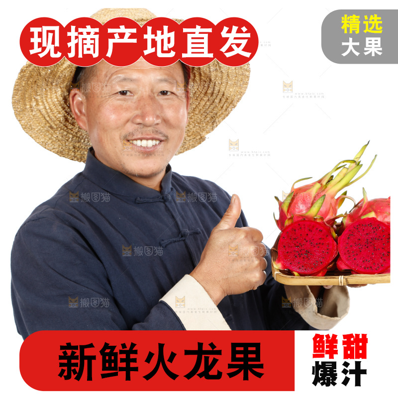 农民手里拿着红心火龙果