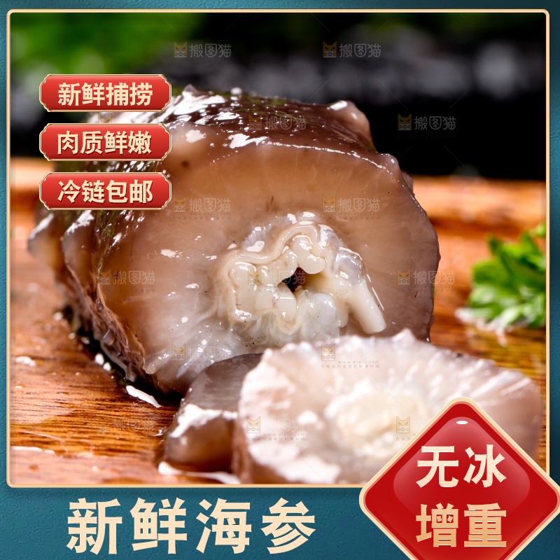 木底上的海参