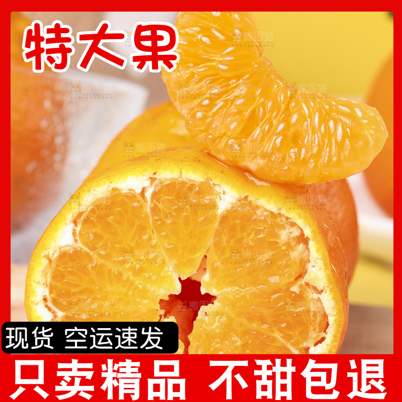 木板上放着春见耙耙柑