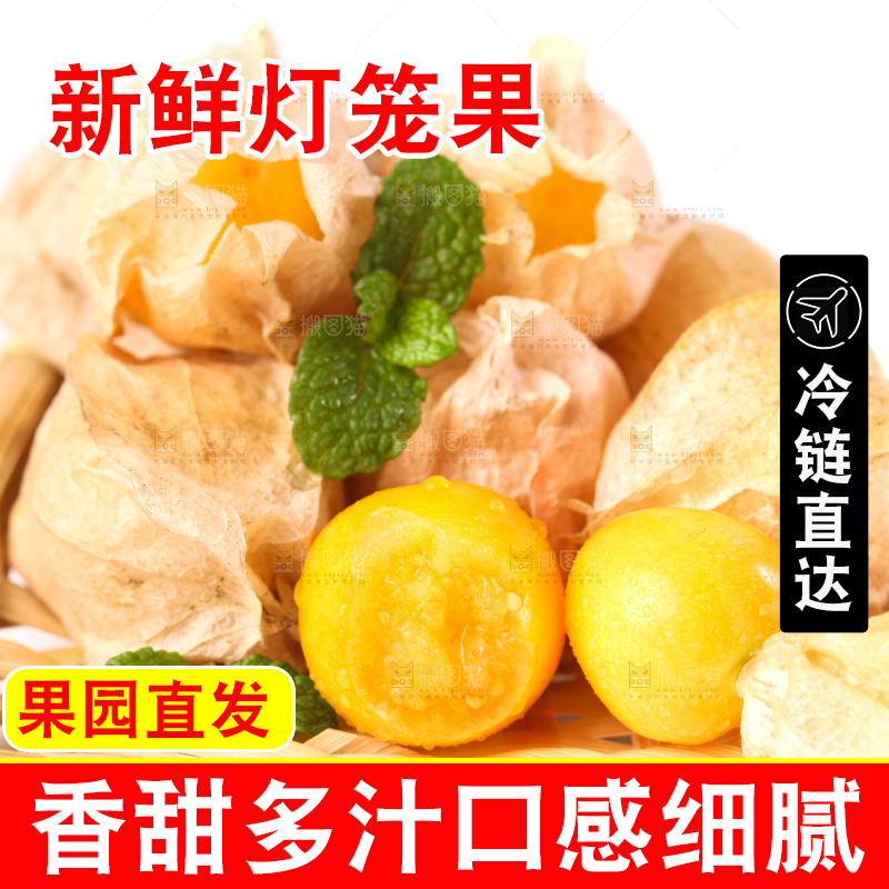 竹篮里放着菇娘果