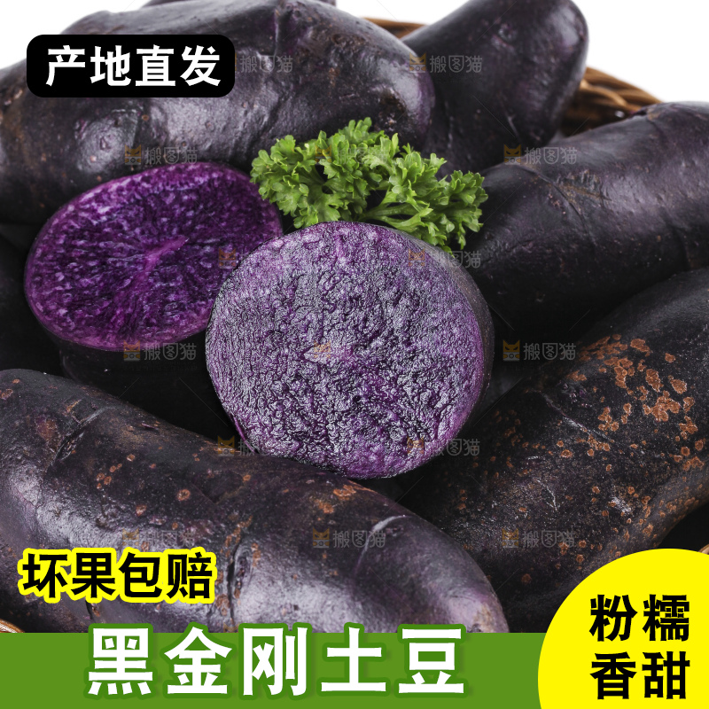 白底上的黑紫马铃薯