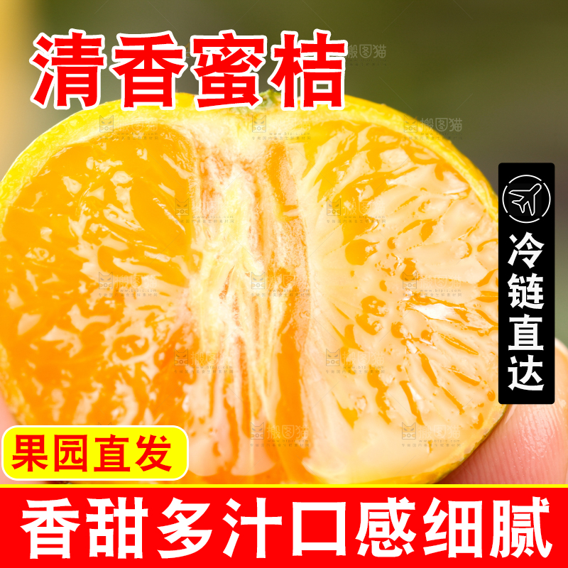 手拿清香蜜桔