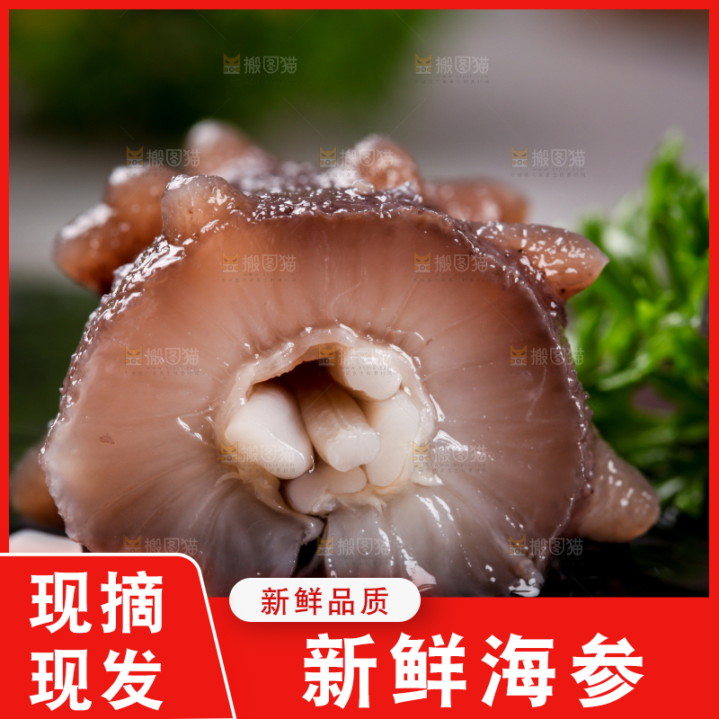 黑石板放着切开的海参