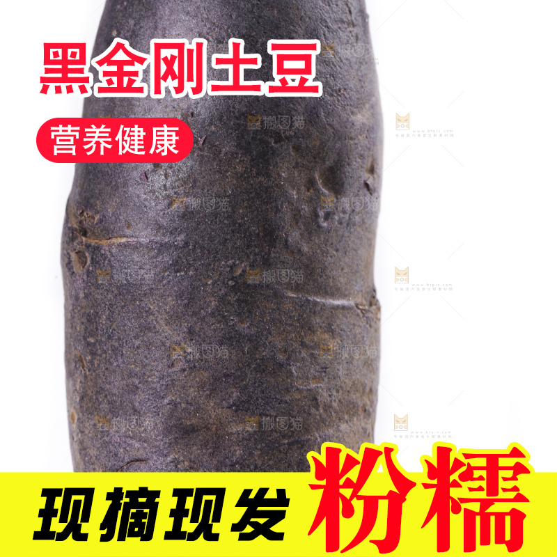 手里拿着农家紫土豆