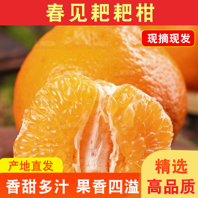木板上放着春见柑橘