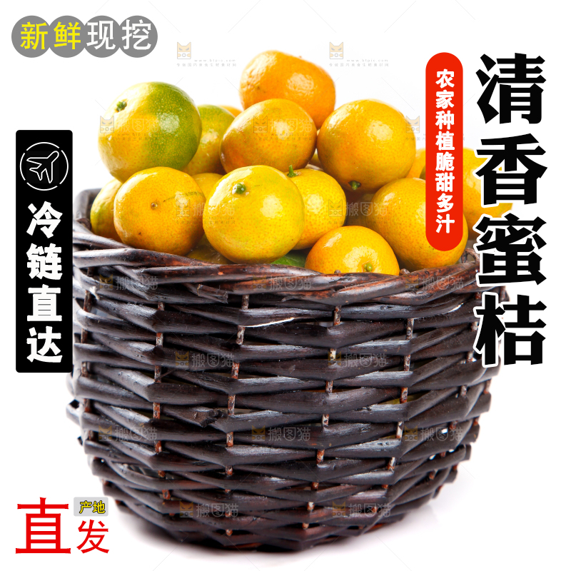 一筐清香蜜橘放在白底上