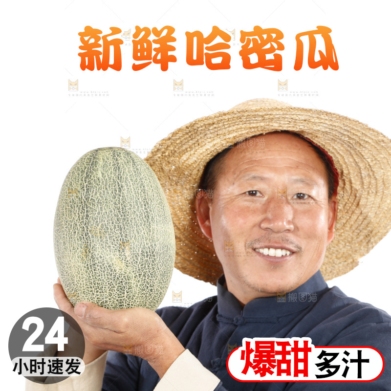 农民手里拿着哈蜜瓜