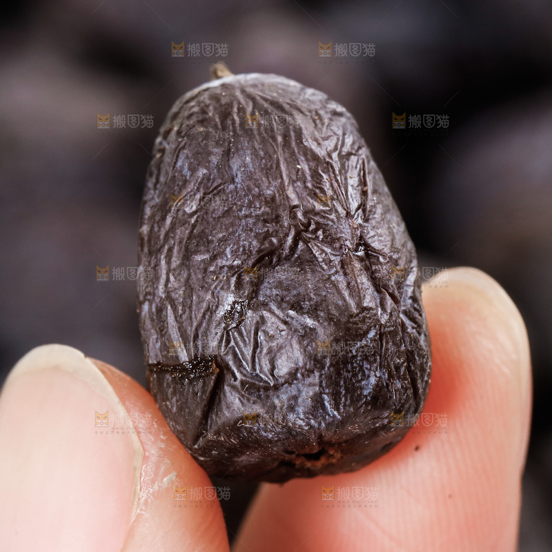手拿黑枣