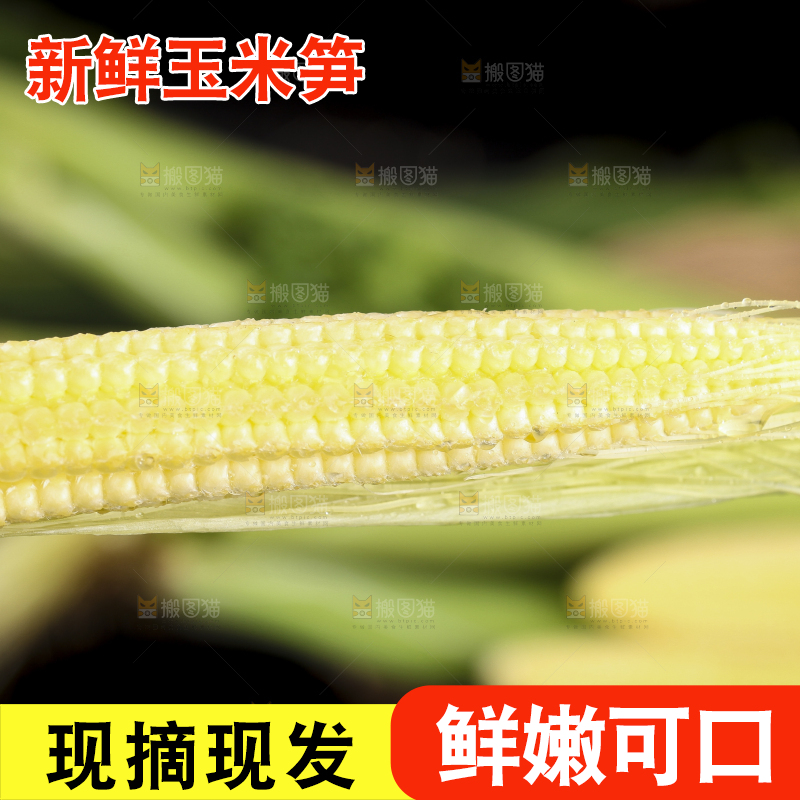 手里拿着番麦笋