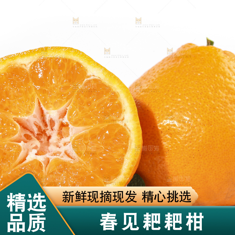切开的四川耙耙柑放在白底上