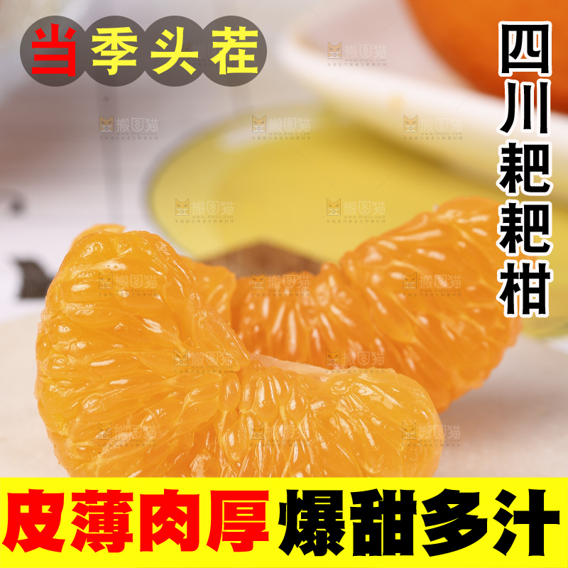 石板上的四川耙耙柑