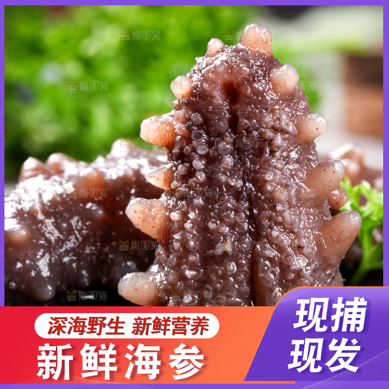 黑石板上的海参