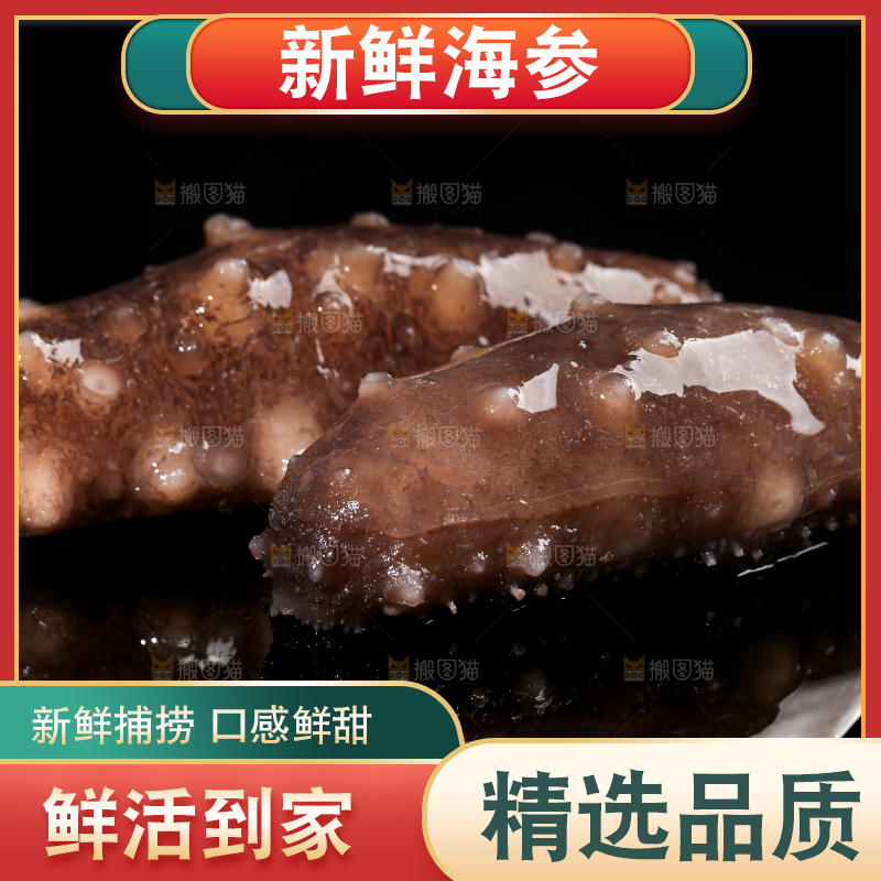 黑底上的海参