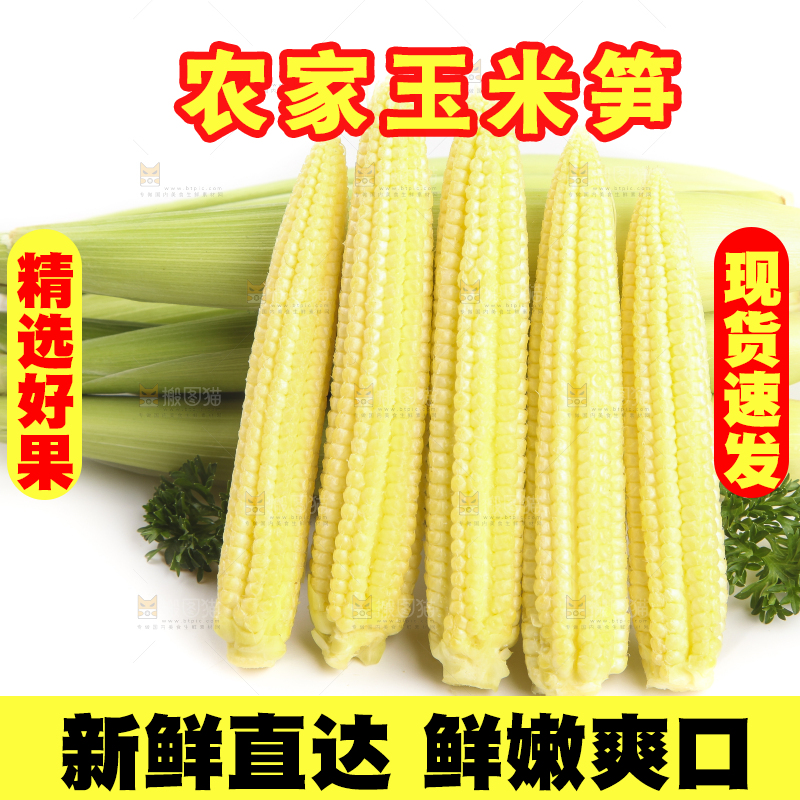 白底上的珍珠笋