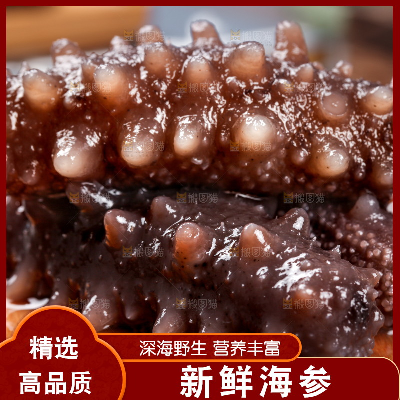 木底上的淡干海参