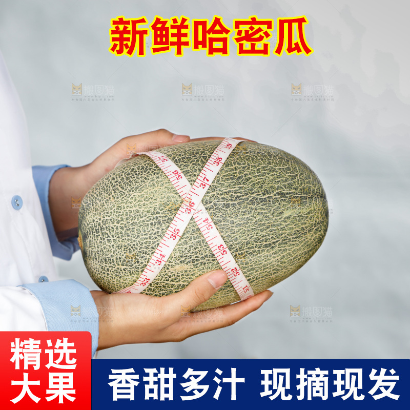 手里正在测量哈蜜瓜