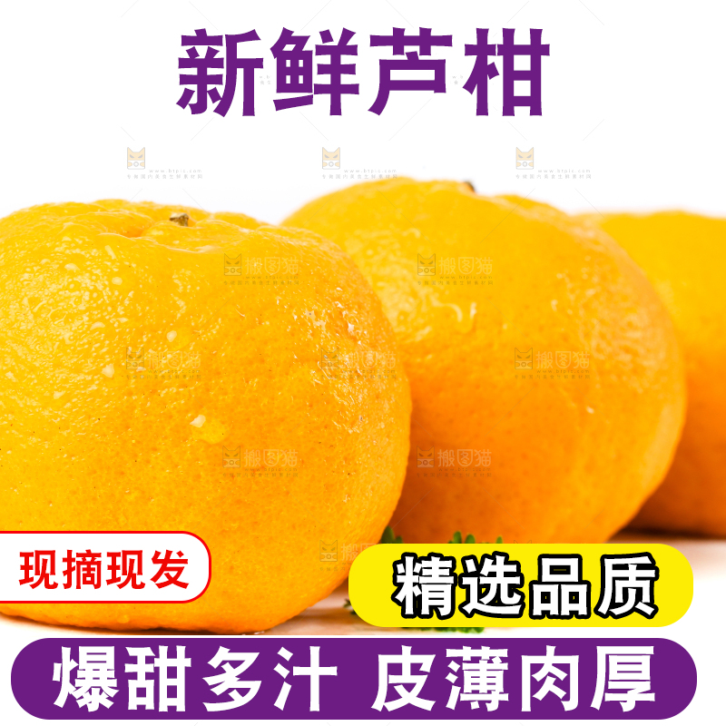 白底上放着芦柑
