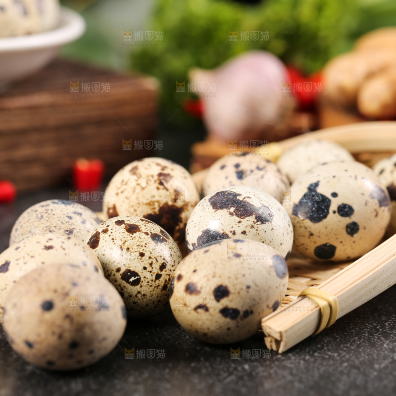 黑底上的鹌鹑蛋