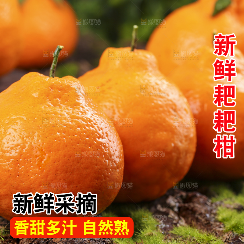 草地上摆放着耙耙柑
