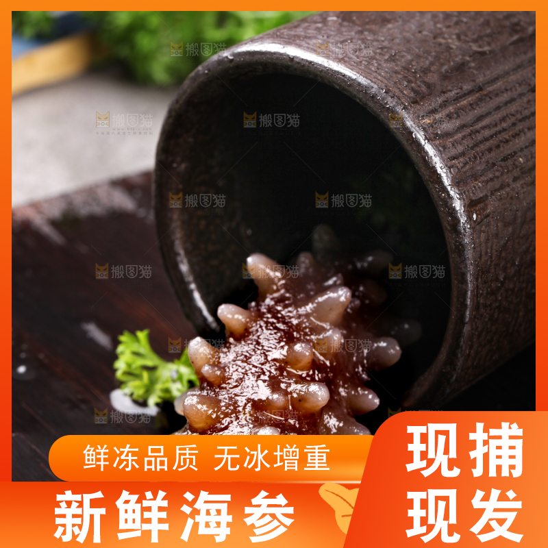 黑底上的海参