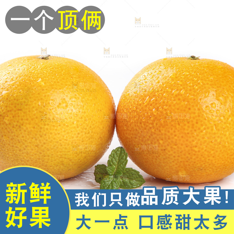 白底上的新鲜皇帝柑